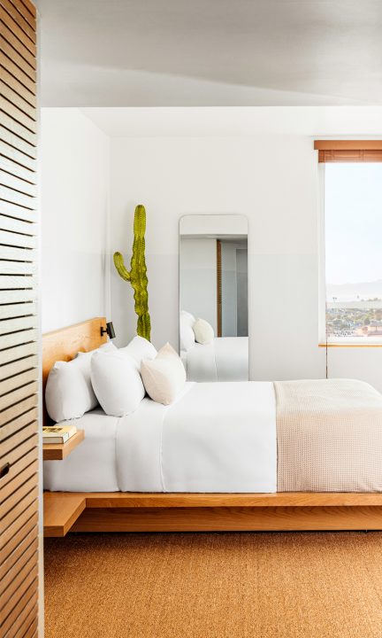 Hotel room with carpeted floor, bed with pillows, mirror, window and cactus decoration