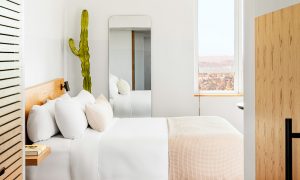 Hotel room with carpeted floor, bed with pillows, mirror, window and cactus decoration