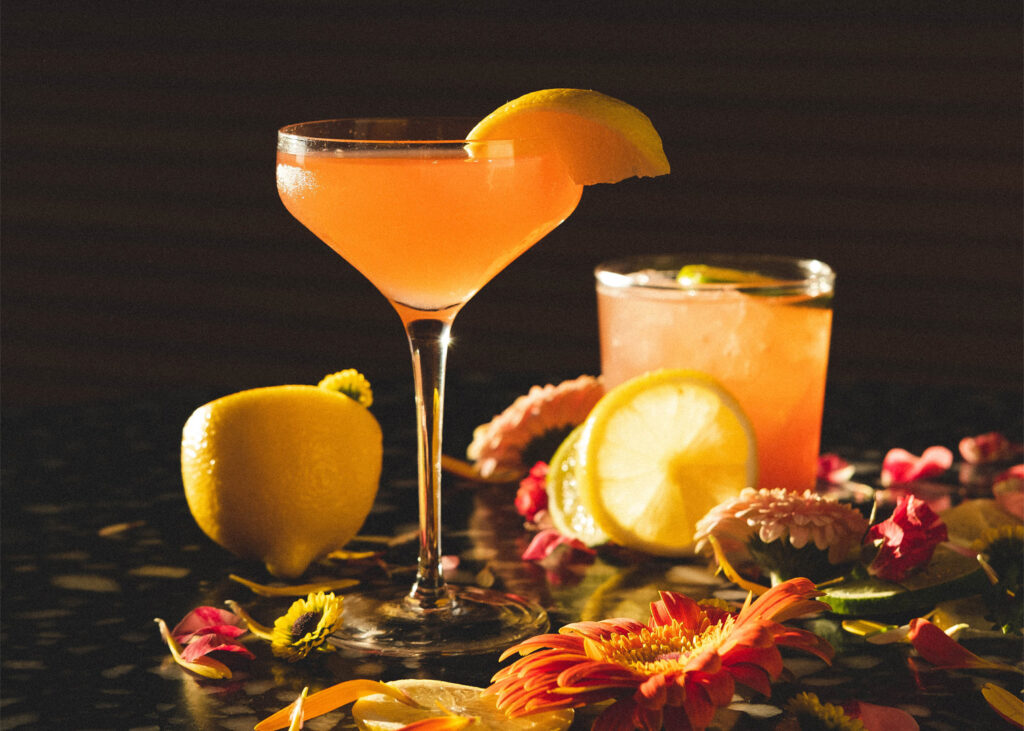 CSC cocktails