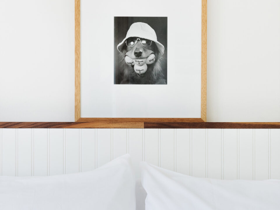 Hotel June Malibu guest room close up with framed image of dog