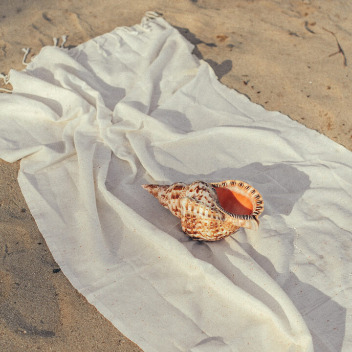 Shell on beach towel